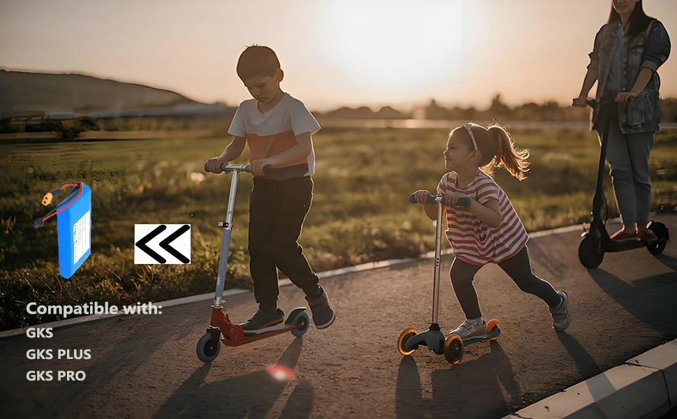 Scooter Battery Lithium Battery Pack 25.2V 3000mAh 7S1P Rechargeable Battery, Compatible with:GKS/GKS Plus/GKS PRO,Children Play